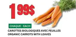 Marches Tau CAROTTES BIOLOGIQUES AVEC FEUILLES offer