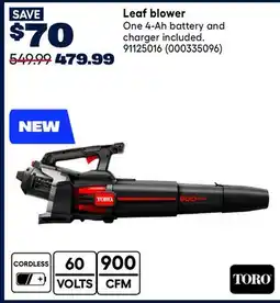 RONA Toro Leaf blower offer