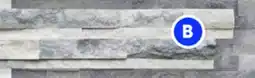 RONA All LEDGESTONE natural stone tiles offer