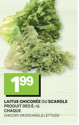 L'Intermarché LAITUE CHICORÉE OU SCAROLE | CHICORY OR ESCAROLE LETTUCE offer