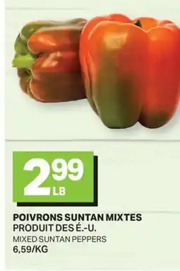 L'Intermarché POIVRONS SUNTAN MIXTES | MIXED SUNTAN PEPPERS offer