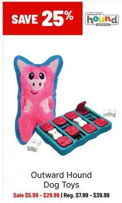 Ren’s Pets Depot Outward Hound Dog Toys offer