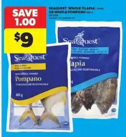 Real Canadian Superstore Seaquest Whole Tilapia or Whole Pompano offer