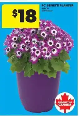 Real Canadian Superstore PC Senetti Planter offer