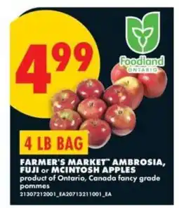No Frills Farmer's Market Ambrosia, Fuji or McIntosh Apples offer