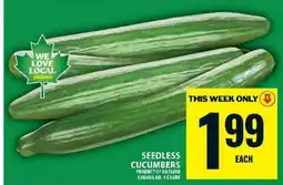 Food Basics SEEDLESS CUCUMBERS offer