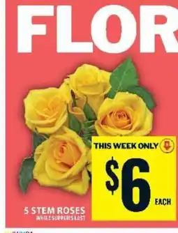 Food Basics 5 STEM ROSES offer