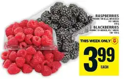 Food Basics Raspberries and Blackberries offer