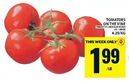 Food Basics TOMATOES ON THE VINE offer