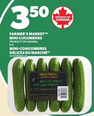 Independent City Market FARMER'S MARKET MINI CUCUMBERS, 6'S offer