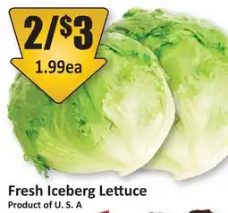 Starsky Fresh Iceberg Lettuce offer
