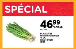 Kim Phat GREEN ONIONS offer