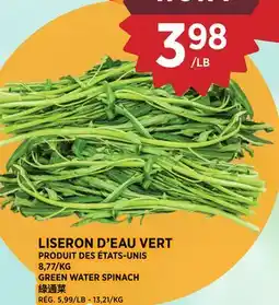 Kim Phat GREEN WATER SPINACH offer