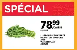 Kim Phat WATER SPINACH offer