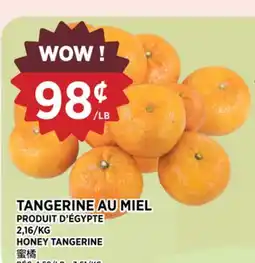 Kim Phat HONEY TANGERINE offer