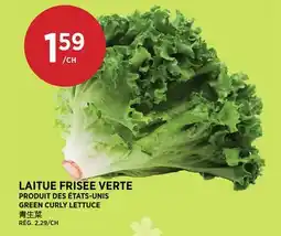 Kim Phat GREEN CURLY LETTUCE offer