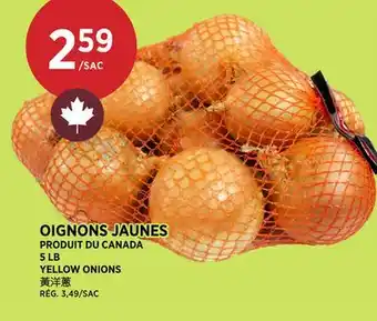 Kim Phat YELLOW ONIONS offer