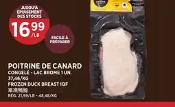 Kim Phat LAC BROME FROZEN DUCK BREAST IQF offer