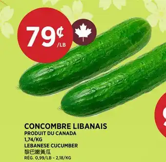 Kim Phat LEBANESE CUCUMBER offer