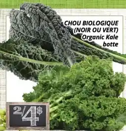 Supermarché PA CHOU BIOLOGIQUE (NOIR OU VERT) | Organic Kale offer