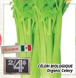 Supermarché PA CÉLERI BIOLOGIQUE | Organic Celery offer