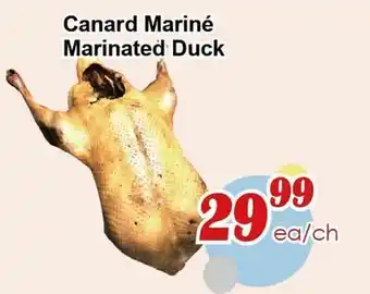 Marche C&T Canard Mariné offer