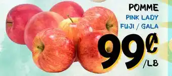 Marche Salaberry POMME offer