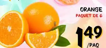 Marche Salaberry ORANGE offer