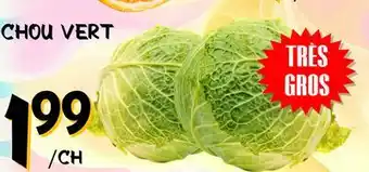 Marche Salaberry CHOU VERT offer