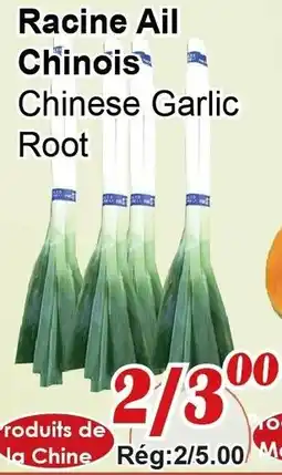 Marche C&T Chinese Garlic Root offer