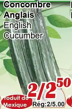 Marche C&T English Cucumber offer
