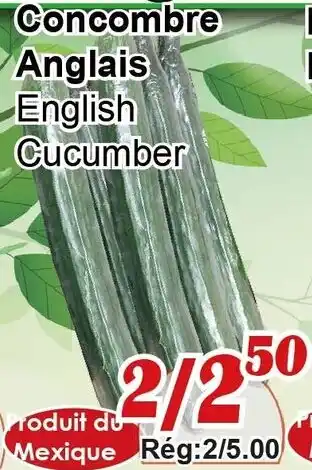 Marche C&T English Cucumber offer