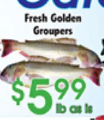 Danforth Food Market Fresh Golden Groupers offer