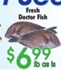 Danforth Food Market Fresh Doctor Fish offer
