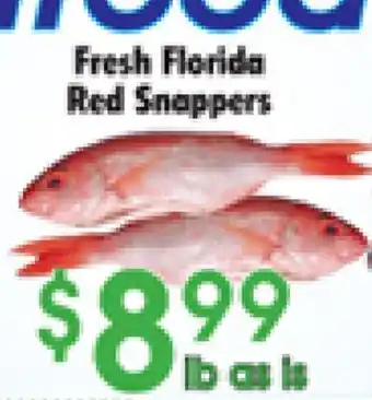 Danforth Food Market Fresh Florida Red Snappers offer