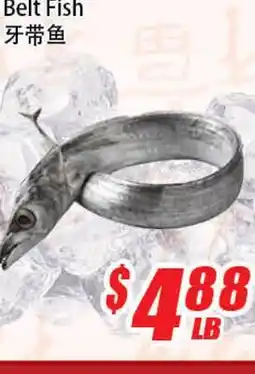 WinCo Food Mart Belt Fish offer