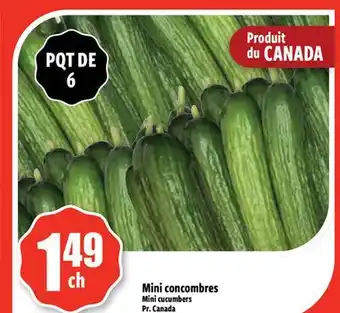 Bonanza Mini concombres offer