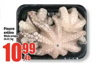 Bonanza Pieuvre entière offer