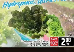 Galleria Supermarket Batavia Lettuce 2 Kinds offer