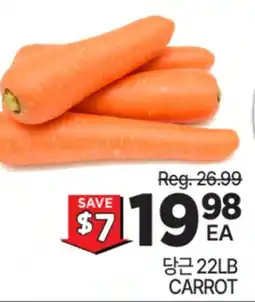 H-Mart 당근 22LB CARROT offer