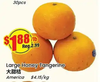 Btrust Supermarket Large Honey Tangerine offer
