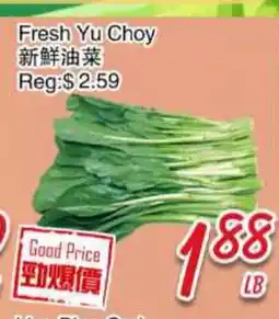 Foody Mart Fresh Yu Choy offer