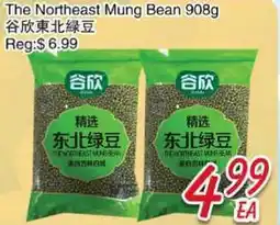 Foody Mart The Northeast Mung Bean offer