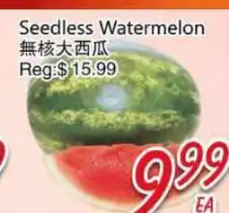 Foody Mart Seedless Watermelon offer