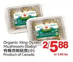 T&T Supermarket ORGANIC KING OYSTER MUSHROOM (BABY) offer