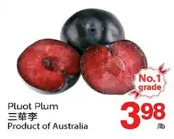 T&T Supermarket PLUOT PLUM offer