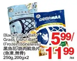 T&T Supermarket BLACK FISH FILLET/GRASS FISH FILLET, 250G, 200GX2 offer