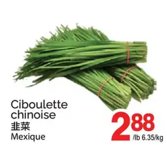 T&T Supermarket CIBOULETTE CHINOISE offer