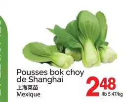 T&T Supermarket POUSSES BOK CHOY DE SHANGHAI offer