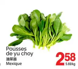 T&T Supermarket POUSSES DE YU CHOY offer